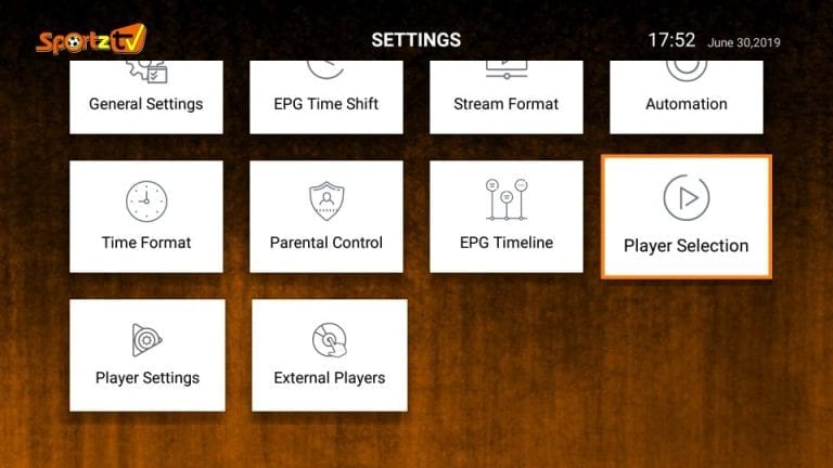 Player Settings option