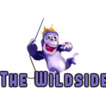 Wildside IPTV
