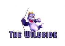 outlaw iptv web page outlaw iptv web page