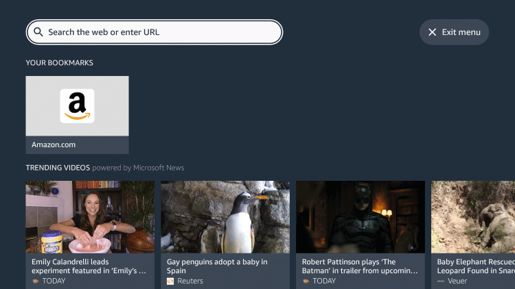 Silk Browser on Firestick
