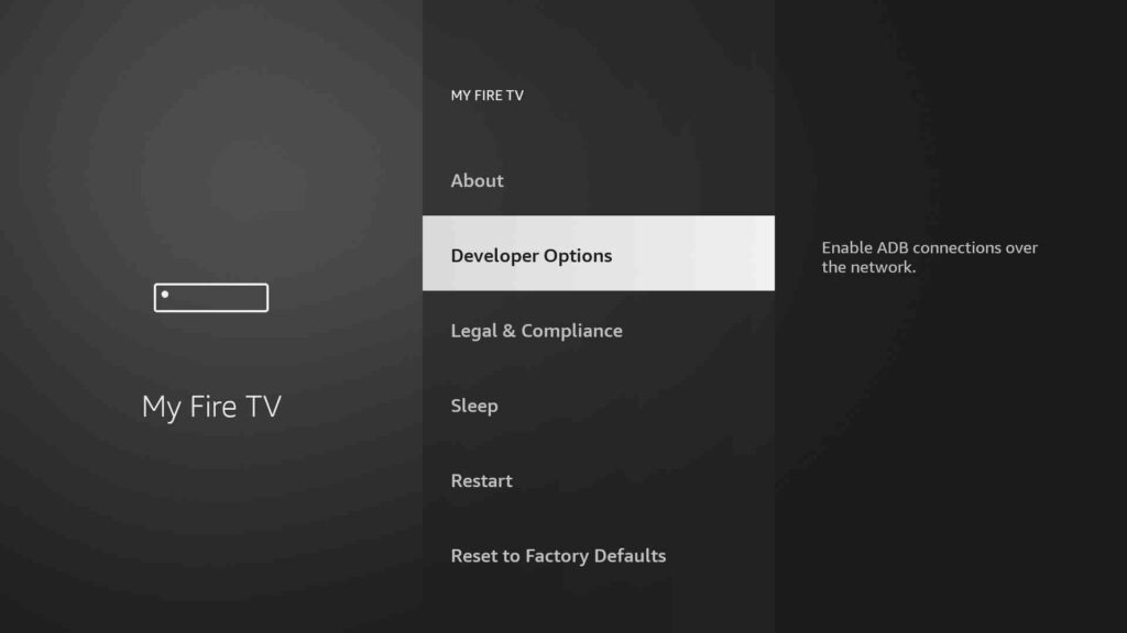 select Developer Options