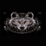 Wolf IPTV Addon