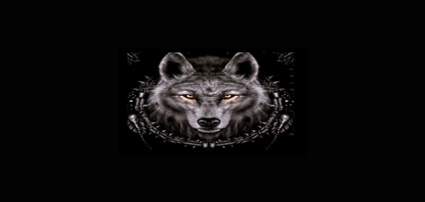 Wolf IPTV Addon