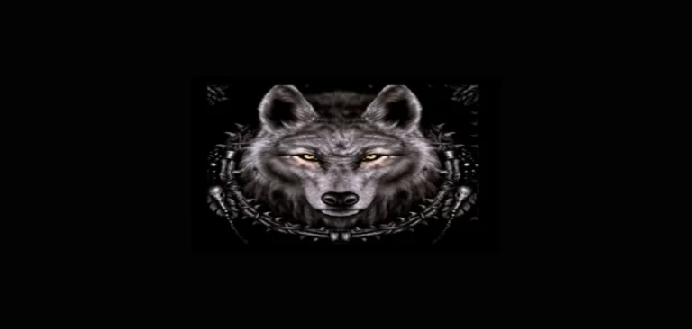 wolf IPTV kodi addon