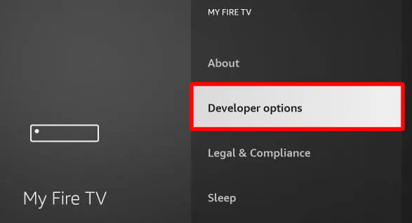 Select Developer options