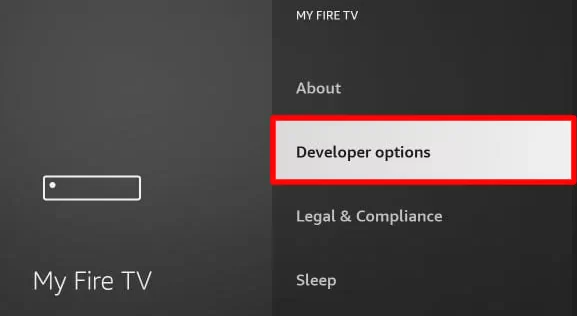 Click on Developer option