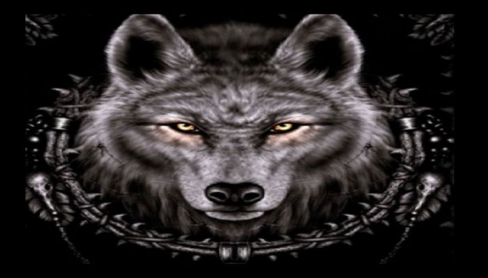 Wolf IPTV Addon