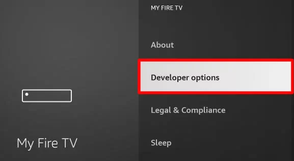 Select Developer option