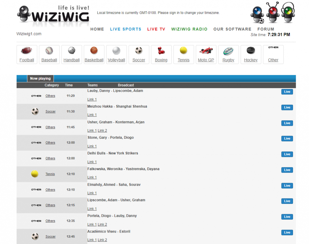 official website of the WiziWig