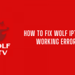 How to Fix Wolf IPTV not Working error?