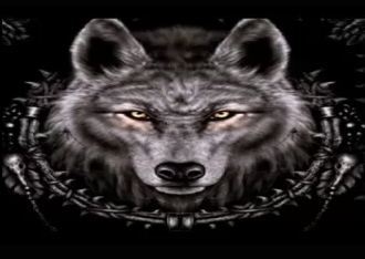 Wolf IPTV Kodi addon