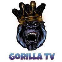 Gorilla TV IPTV is one of the best IPTV for MAG