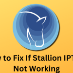 Stallion IPTV