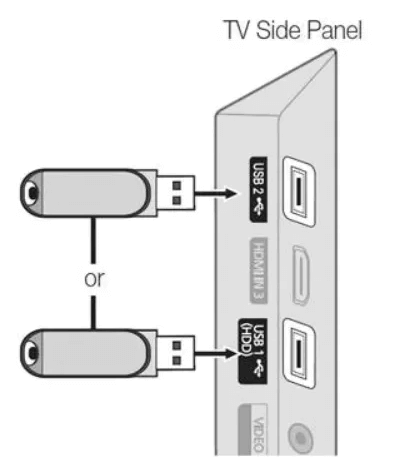 Connect the USB to TV